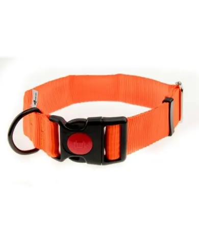 OBROŻA 4WILD Z TAŚMY 40MM NEONOWA POMARAŃCZA 39-61CM