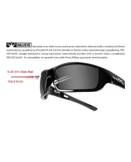 Okulary WX SABER ADV Smoke/Clear Matte Black Frame