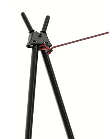 Pastorał Blaser Aluminium v 2.1