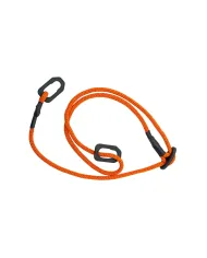 Pastorał Blaser Carbon v 2.0