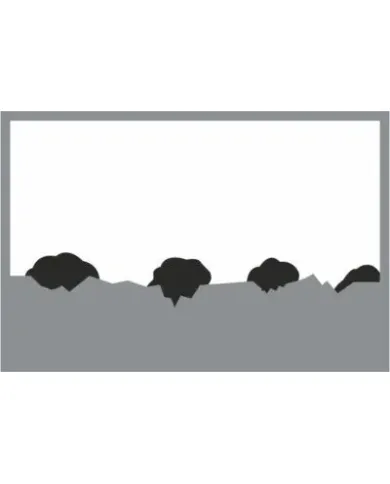 GNP Gun Cleaner 75ml EN (502526)