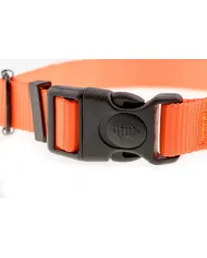 OBROŻA 4WILD Z TAŚMY 25MM NEONOWA POMARAŃCZA 37-57CM