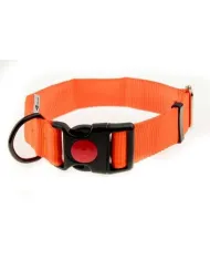OBROŻA 4WILD Z TAŚMY 20MM NEONOWA POMARAŃCZA 25-35CM OBROŻA 4WILD Z TAŚMY 20MM NEONOWA POMARAŃCZA 25-35CM